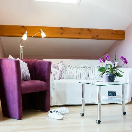 Komfort - Haus Davis Apartment